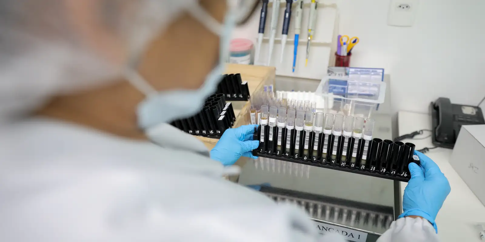 Anvisa libera testes humanos da Vivaxin, vacina nacional contra malária vivax