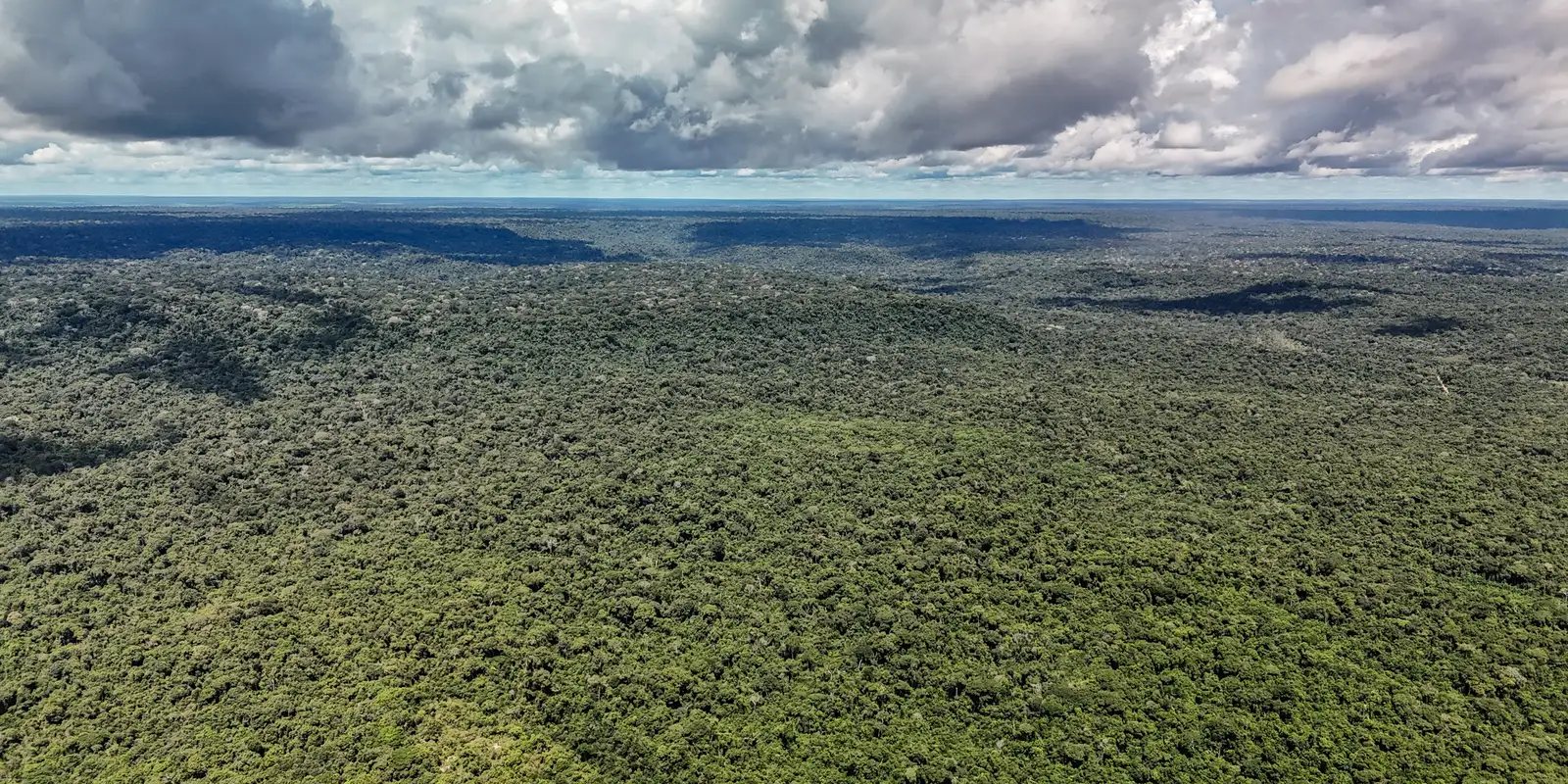 Desmatamento na Amazônia cai a 693 mil ha, menor nível em 41 anos