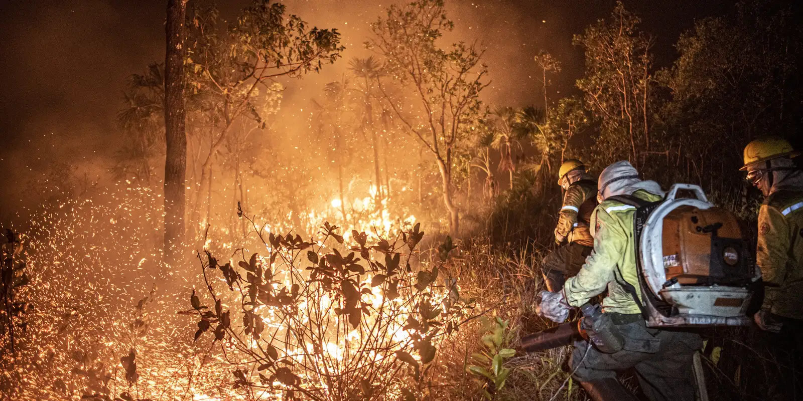Ibama apaga 229 incêndios no Amazonas e combate 20 focos ativos