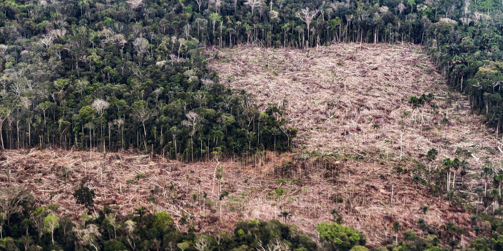 Lula e Flávio propõem caminhos opostos para conter a crise climática