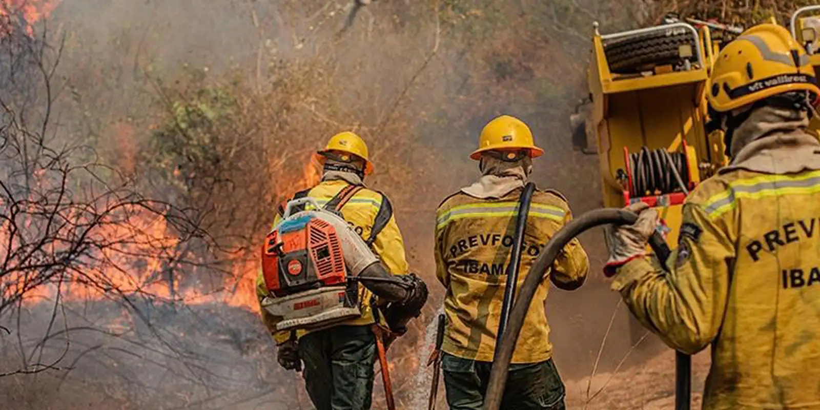 Queimadas no Amazonas agravam saúde indígena, alerta Fiocruz